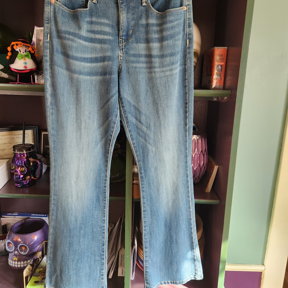 Signature by Levi Strauss Medium Blue Boot Cut Jeans